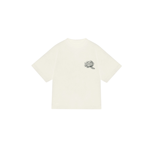 POLO DYNASTY